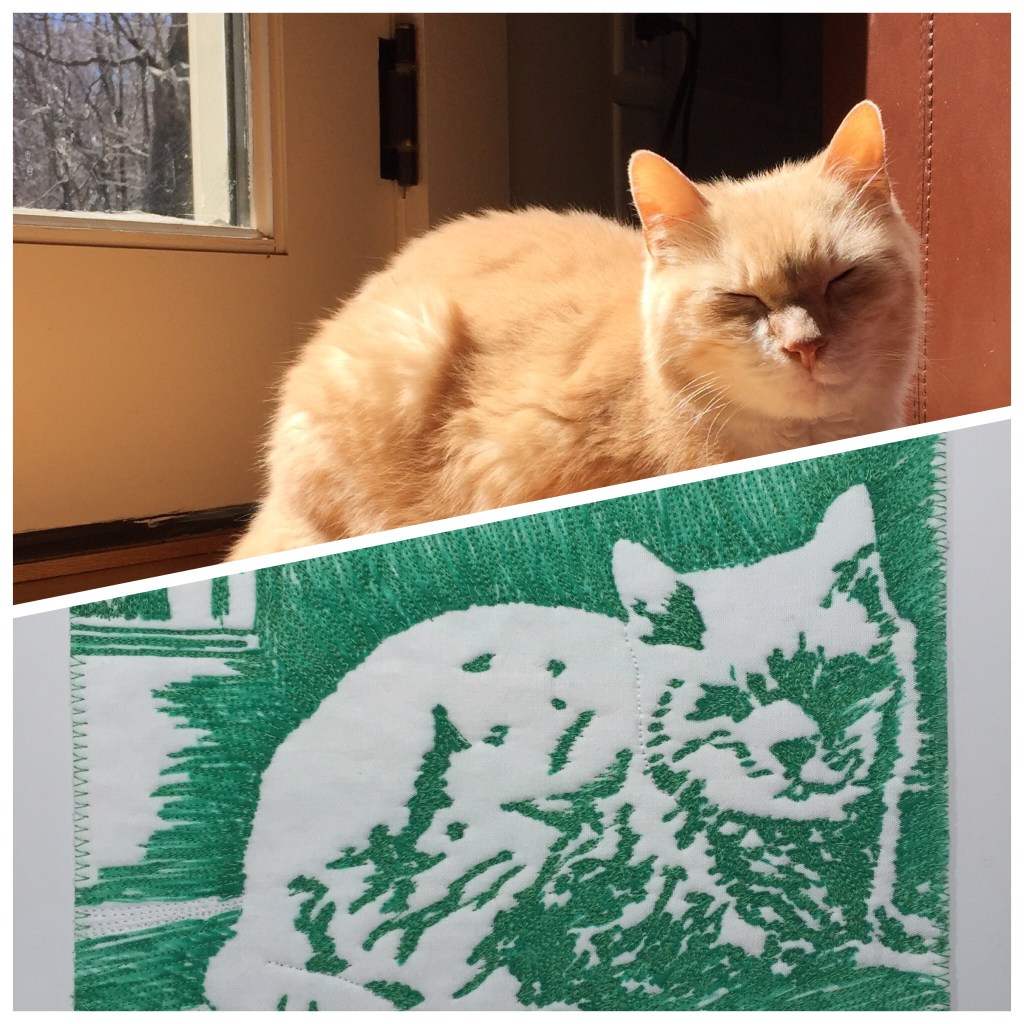 One Subject, Multiple&nbsp;Scales