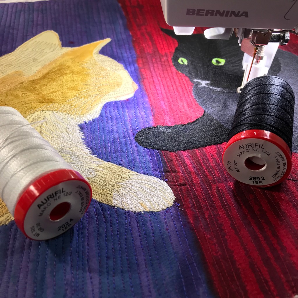 Caption This! 😉🐾🐾