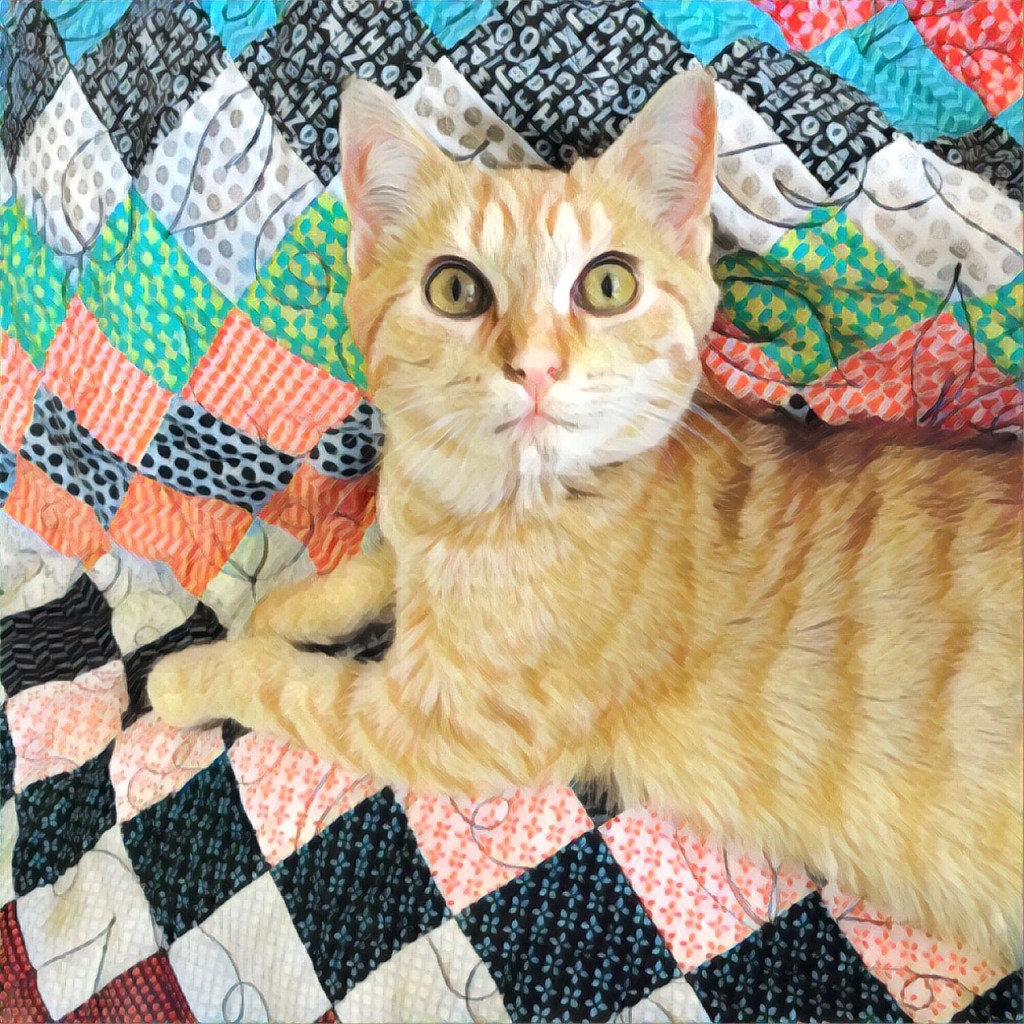 Giving Thanks 💜🐾🐾