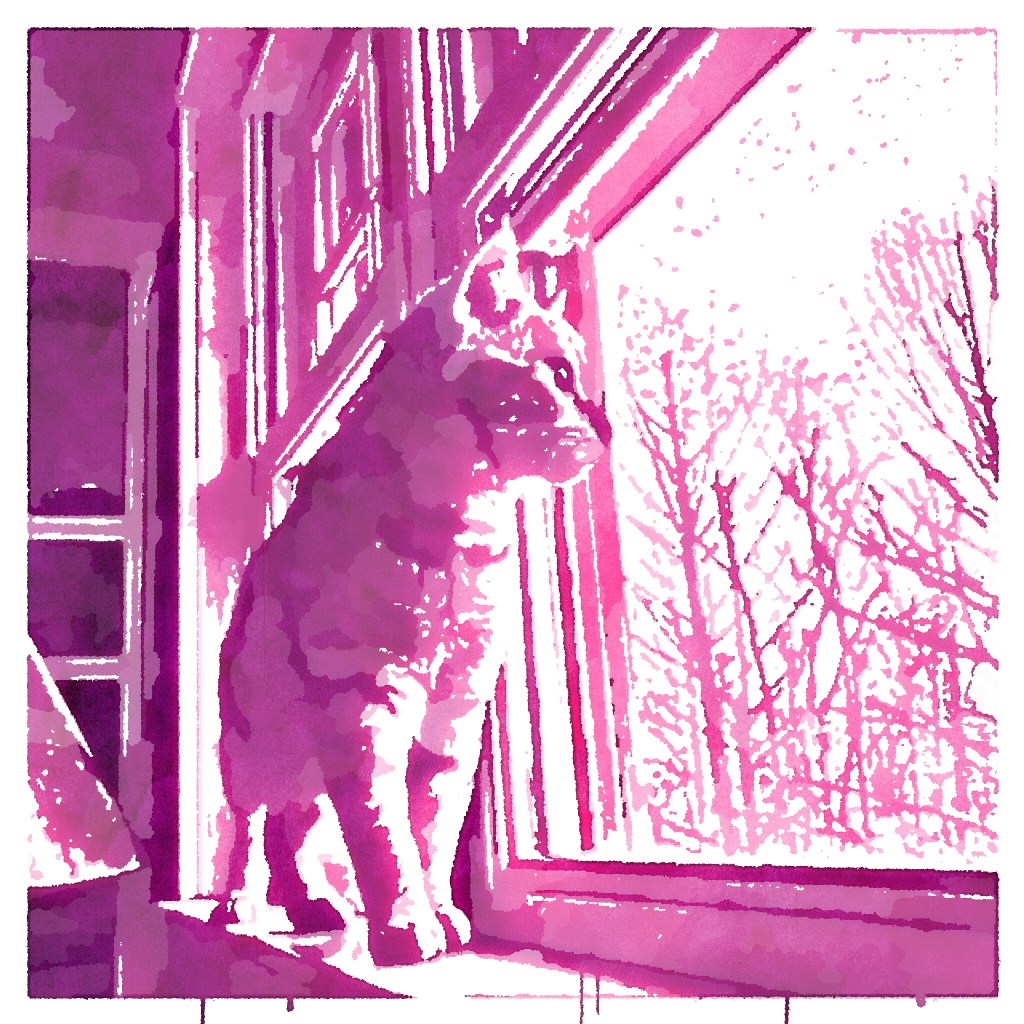 💜Day 5: Popsicolor