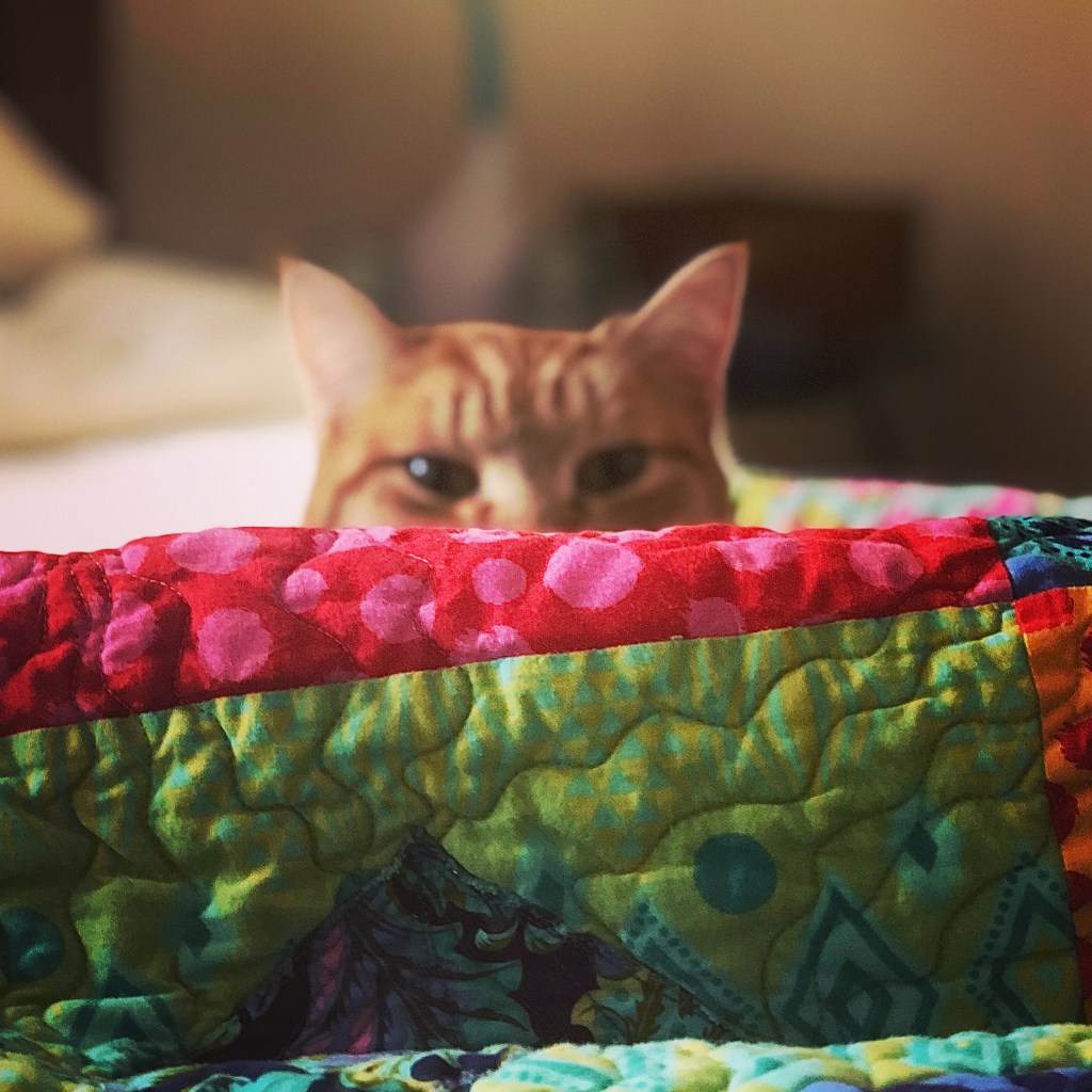 Giving Thanks, One Year Later&nbsp;🐾🐾