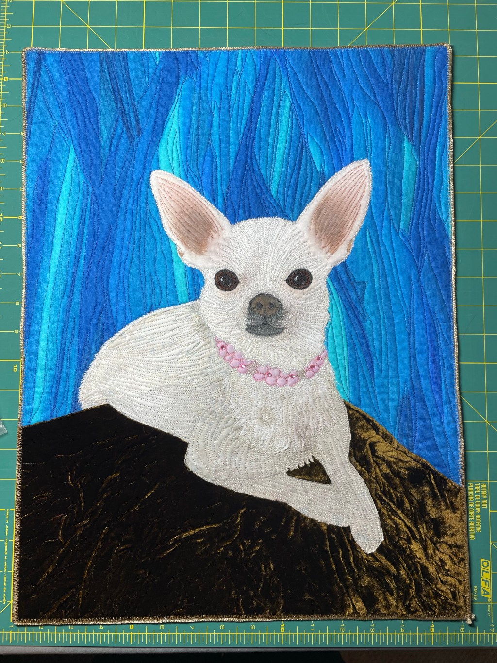 More Cats, Dogs & Joy&nbsp;😉